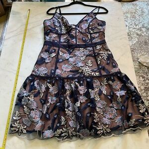 Harlyn dress netting over beige lining worn once purchased at Nordstrom